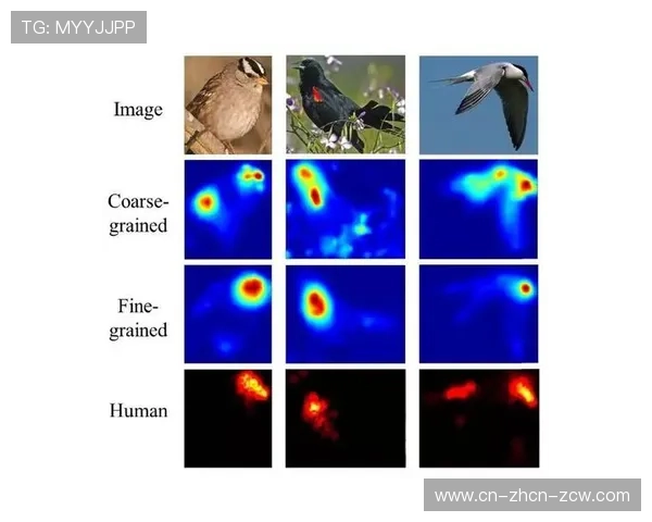 观众注意力热力图优化直播镜头切换逻辑